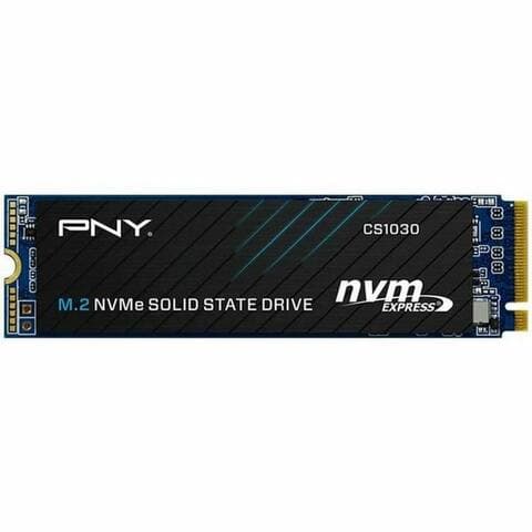Pny PNY SSD-disque dur, disque dur PNY M280CS1030-250-RB