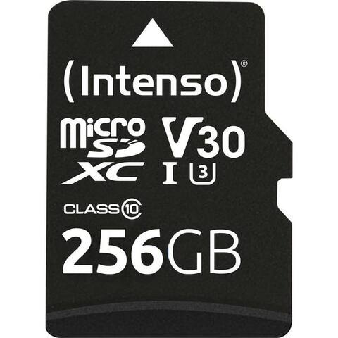 Intenso Intenso Professional miniSDXC-Karte Retail 256 GB Class 10, UHS-I U3, v30 carte mémoire (Wasserfest,