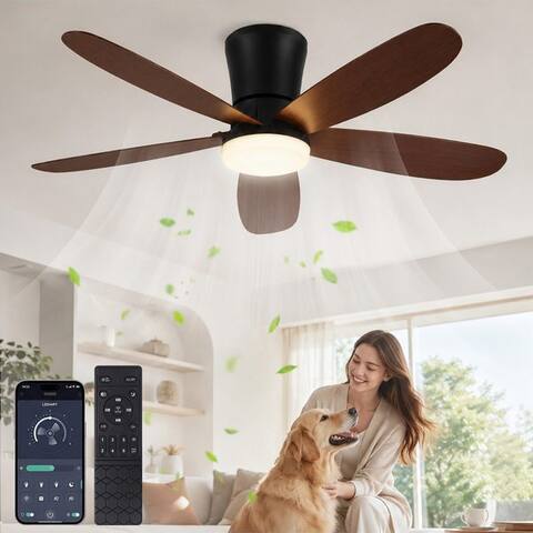 Sunicol Sunicol Deckenventilateur avec Beleuchtung, Leise ventilateur, Dimmbar, avec Fernbedienung&APP, ventilateur