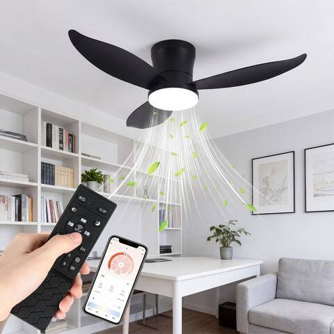 Oyajia oyajia Deckenventilateur Leise Deckenventilateur avec Beleuchtung inkl Fernbedienung 95CM, 6