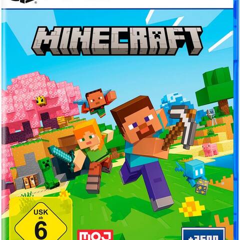 PLAYSTATION Minecraft PlayStation 5