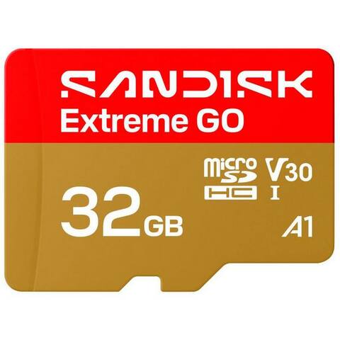 SANDISK microSDHC Extreme GO carte mémoire (32 GB)