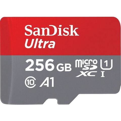 SANDISK Ultra microSDXC carte mémoire (256 GB, Class 10)